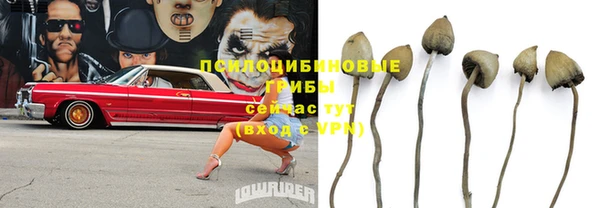 меф Армянск